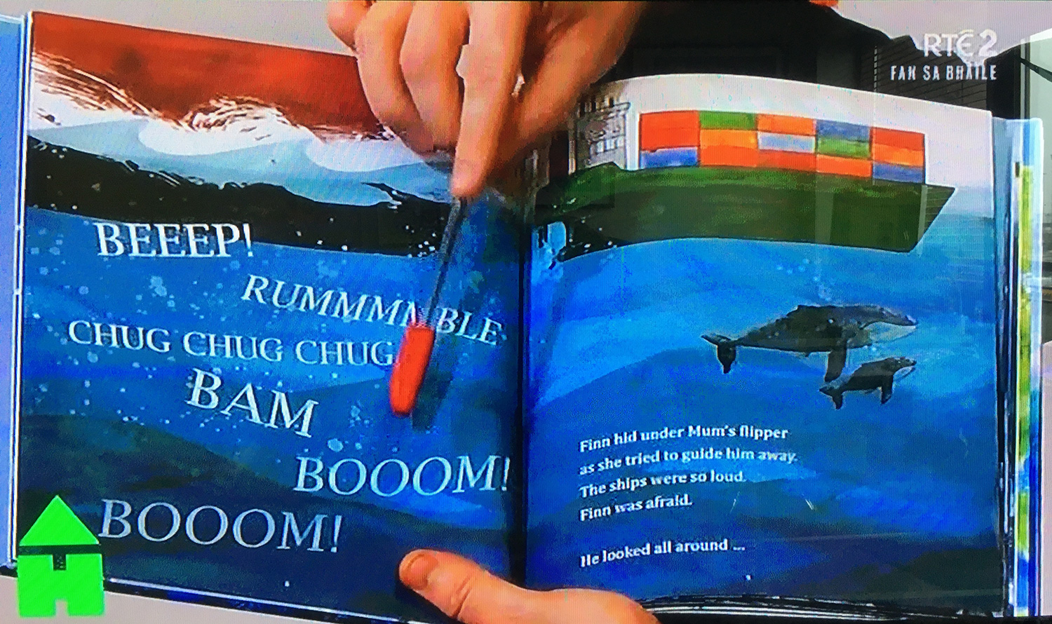 Finn's First Song on RTE's Home School Hub pic 2