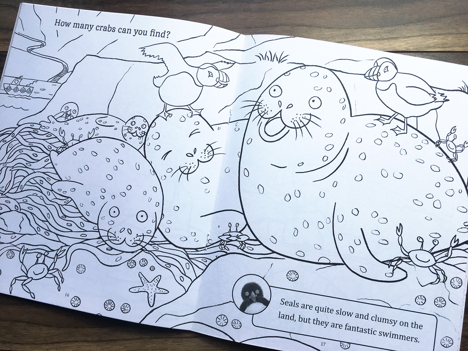 Where Are You Puffling? Colour in the seals and crabs