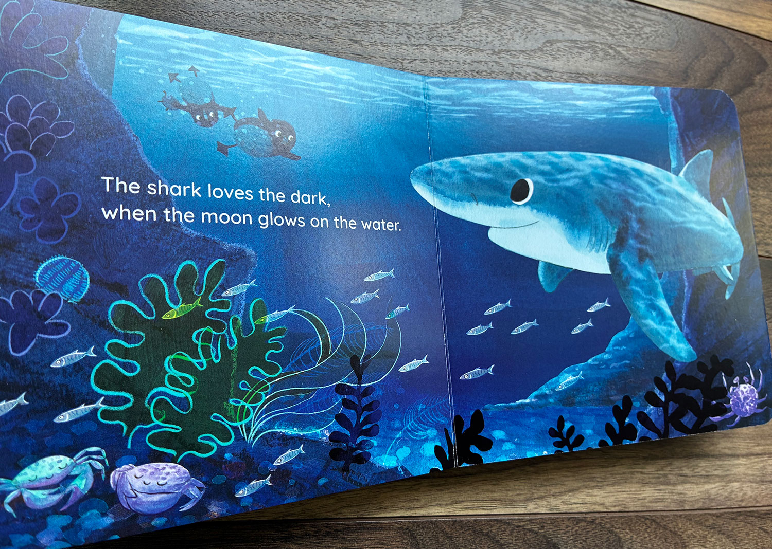 It's Too Dark, Puffling board book Puffling and the little puffling meet a blue shark who loves the moonlight