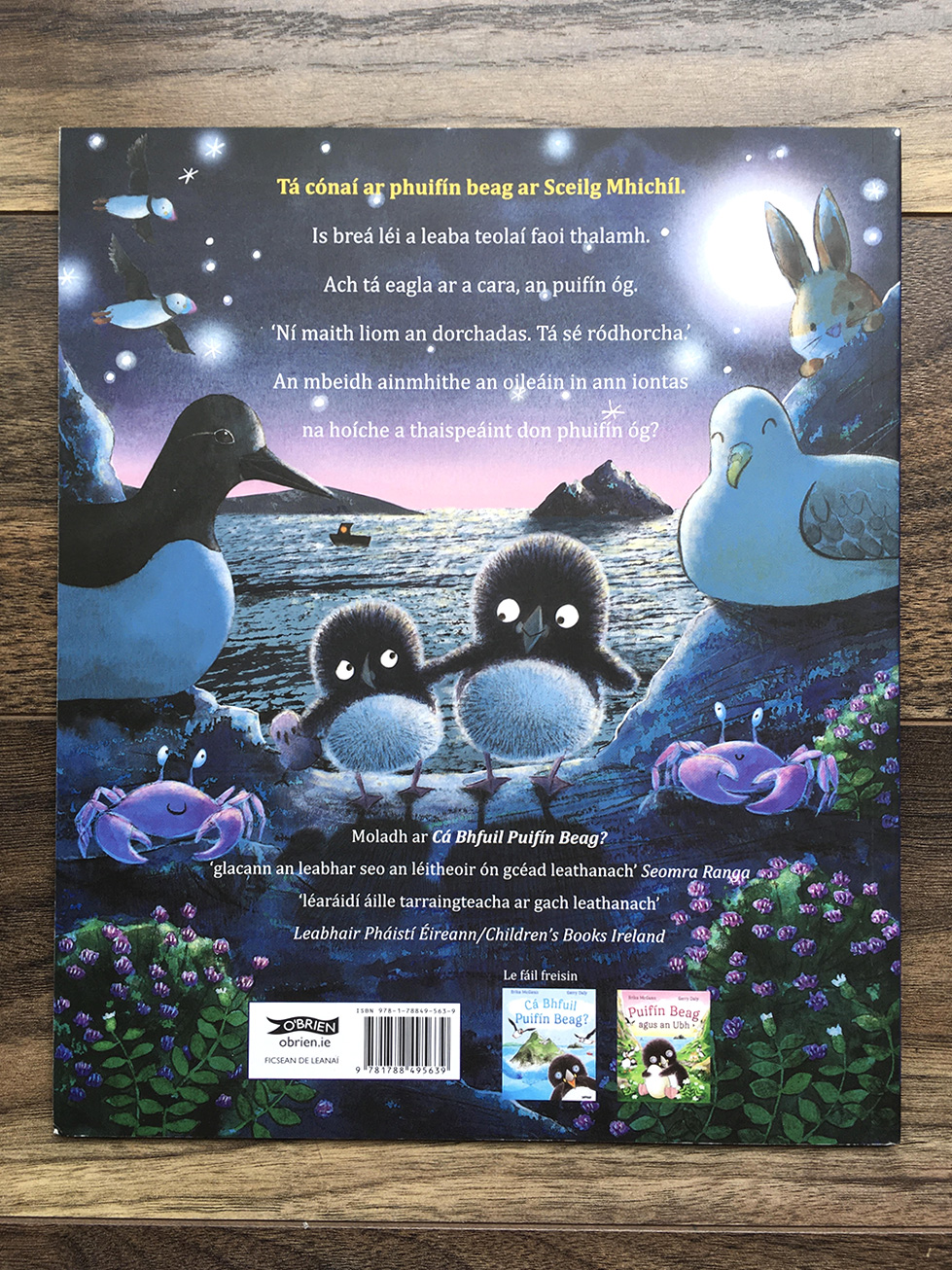 Puifín Beag agus an Dorchadas back cover