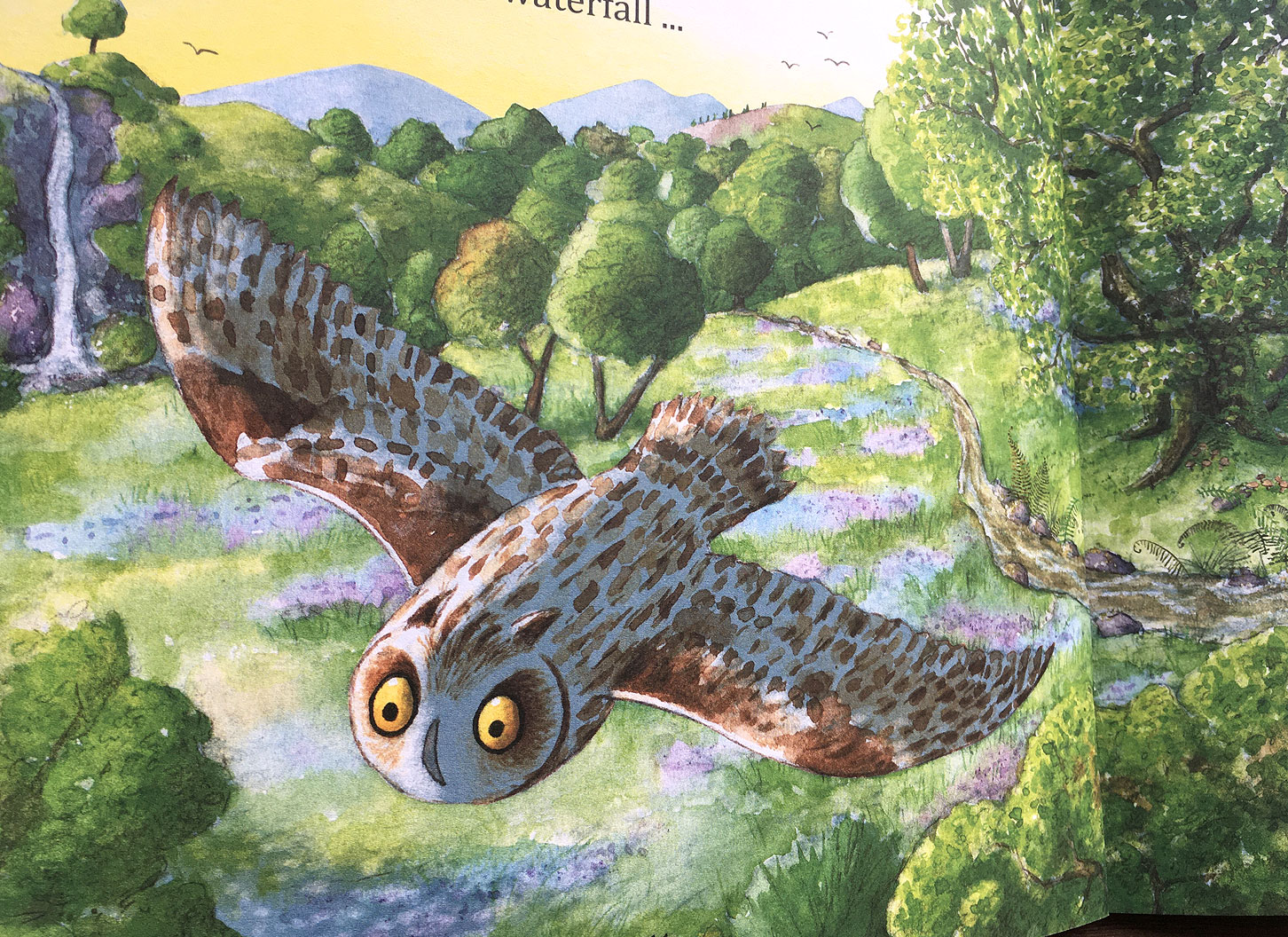 What's That Spooky Sound? the owl flies away over the bluebells and the trees